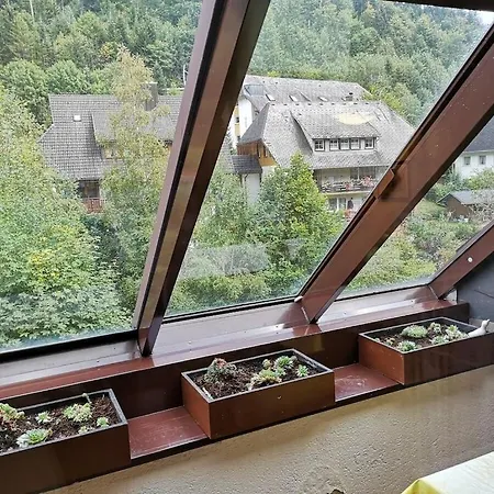 Σπίτι διακοπών With 1 Bedroom Menzenschwand-Hinterdorf